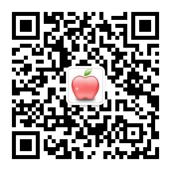 mg是什么意思
